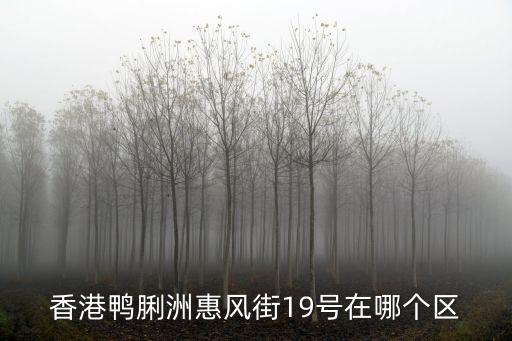 香港鴨脷洲惠風(fēng)街19號(hào)在哪個(gè)區(qū)