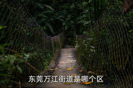 東莞萬江街道是哪個區