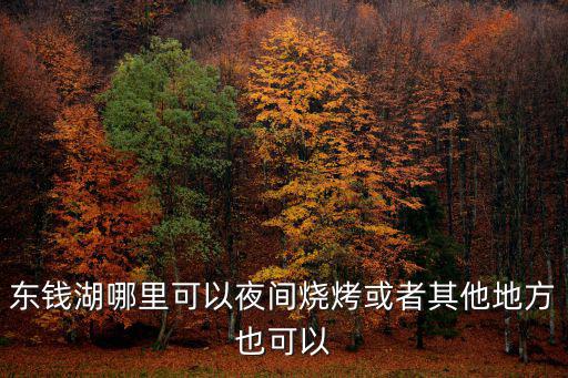 東錢湖哪里可以夜間燒烤或者其他地方也可以