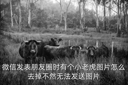 微信發(fā)表朋友圈時(shí)有個(gè)小老虎圖片怎么去掉不然無法發(fā)送圖片