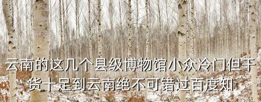 云南的這幾個縣級博物館小眾冷門但干貨十足到云南絕不可錯過百度知