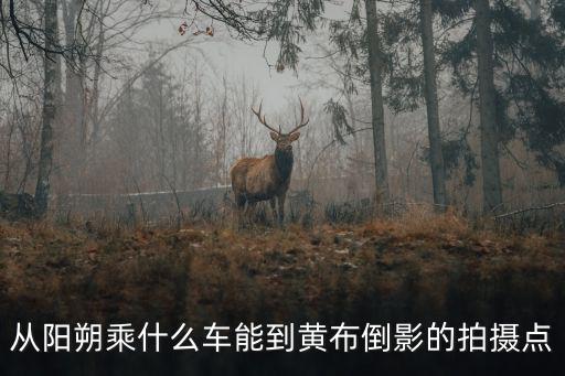 從陽朔乘什么車能到黃布倒影的拍攝點