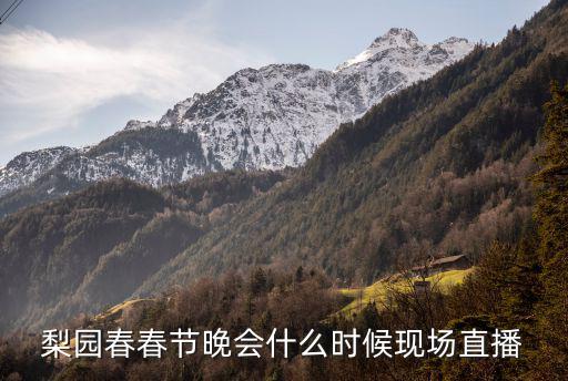 梨園春春節晚會什么時候現場直播