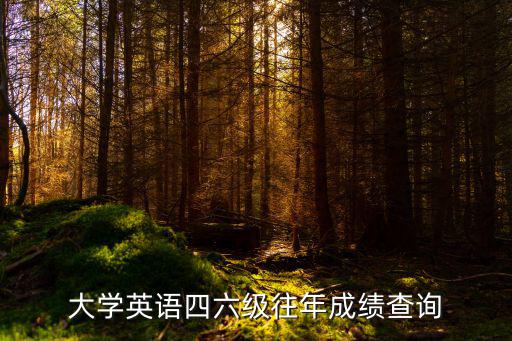 大學英語四六級往年成績查詢