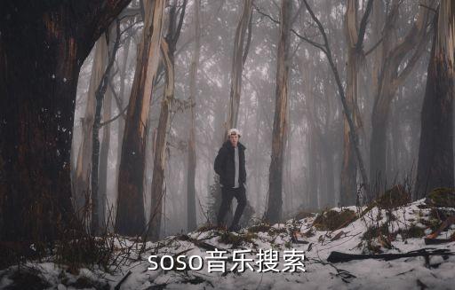 soso音樂搜索