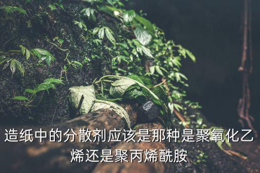 造紙中的分散劑應該是那種是聚氧化乙烯還是聚丙烯酰胺