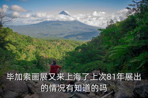 畢加索畫展又來上海了上次81年展出的情況有知道的嗎