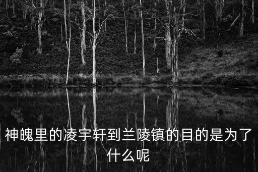 神魄里的凌宇軒到蘭陵鎮的目的是為了什么呢