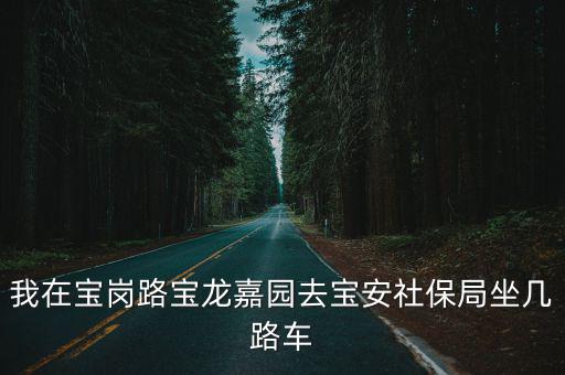 我在寶崗路寶龍嘉園去寶安社保局坐幾路車