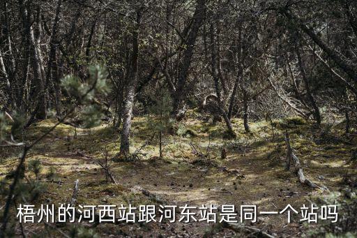 梧州的河西站跟河東站是同一個站嗎