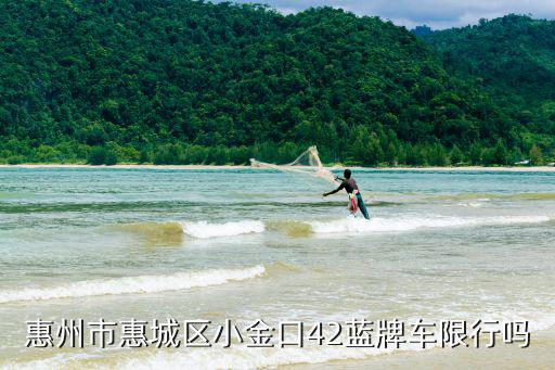 惠州市惠城區小金口42藍牌車限行嗎