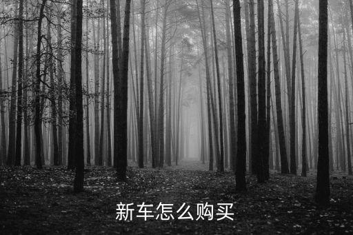 新車怎么購(gòu)買