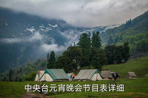 中央臺元宵晚會節目表詳細