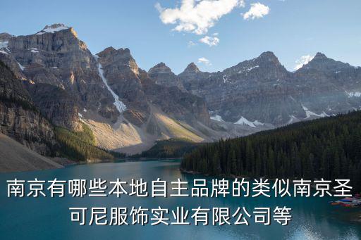 南京有哪些本地自主品牌的類似南京圣可尼服飾實(shí)業(yè)有限公司等