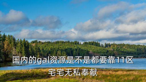 國內的gal資源是不是都要靠11區宅宅無私奉獻