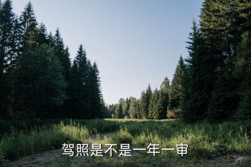 駕照是不是一年一審