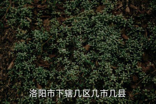 洛陽市下轄幾區幾市幾縣