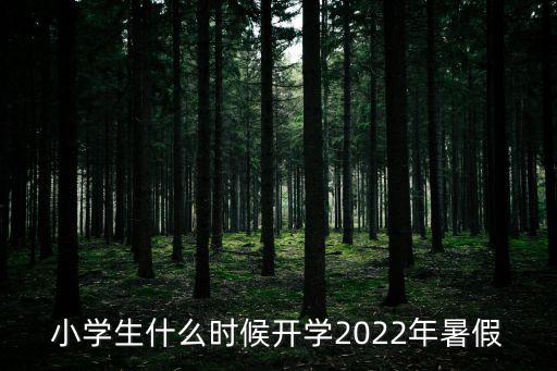 小學生什么時候開學2022年暑假