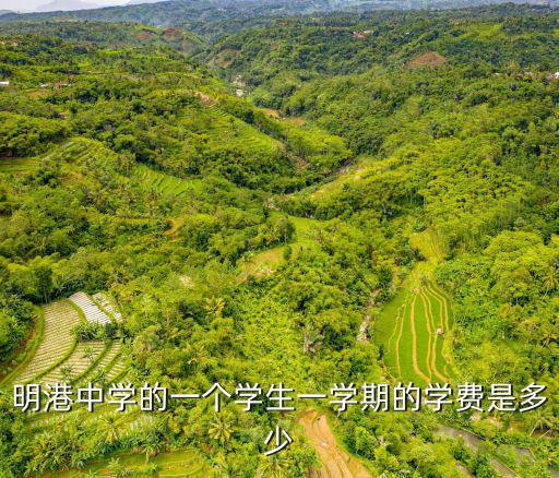 明港中學(xué)的一個學(xué)生一學(xué)期的學(xué)費(fèi)是多少
