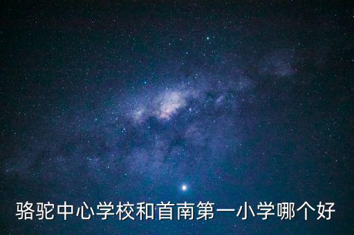 駱駝中心學校和首南第一小學哪個好
