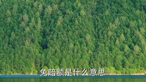 免賠額，免賠額是什么意思