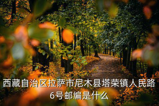 西藏自治區拉薩市尼木縣塔榮鎮人民路6號郵編是什么
