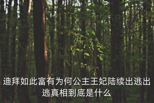 迪拜如此富有為何公主王妃陸續出逃出逃真相到底是什么