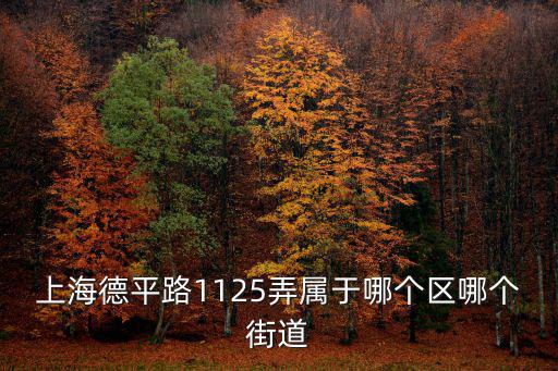 上海德平路1125弄屬于哪個(gè)區(qū)哪個(gè)街道