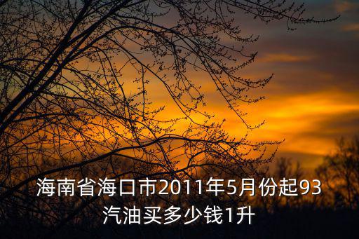 海南省?？谑?011年5月份起93汽油買多少錢1升