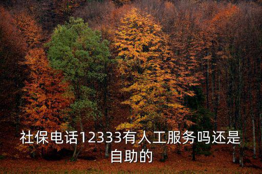 社保人工在線咨詢，社保電話12333有人工服務嗎還是自助的