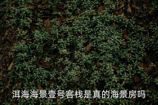 洱海海景壹號客棧是真的海景房嗎