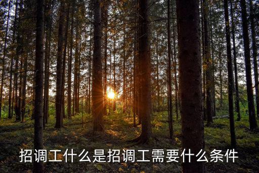 招調工什么是招調工需要什么條件