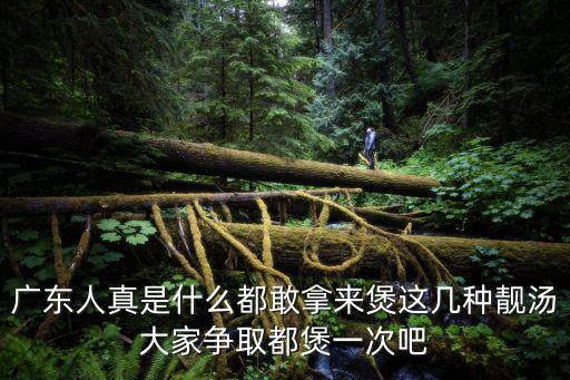 廣東人真是什么都敢拿來煲這幾種靚湯大家爭取都煲一次吧