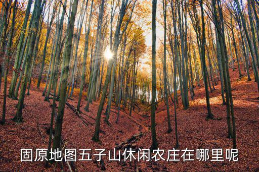 固原地圖五子山休閑農莊在哪里呢