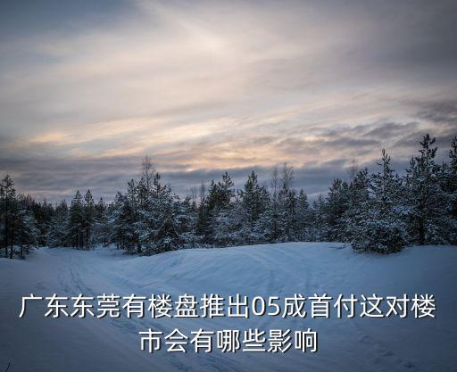 廣東東莞有樓盤推出05成首付這對(duì)樓市會(huì)有哪些影響