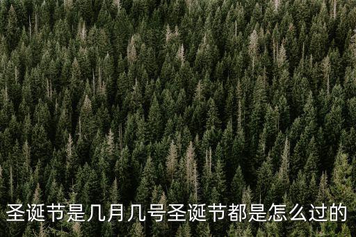 圣誕節(jié)是幾月幾號圣誕節(jié)都是怎么過的