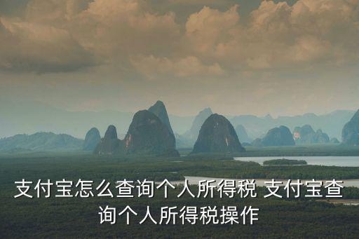 個(gè)人所得稅怎么查，支付寶怎么查詢個(gè)人所得稅 支付寶查詢個(gè)人所得稅操作