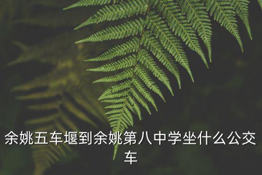 余姚五車堰到余姚第八中學坐什么公交車