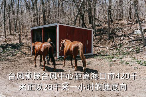 臺(tái)風(fēng)預(yù)報(bào)臺(tái)風(fēng)中心距離海口市420千米正以28千米一小時(shí)的速度向