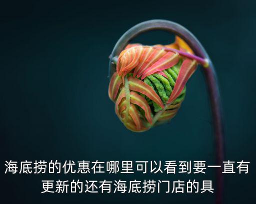 海底撈的優(yōu)惠在哪里可以看到要一直有更新的還有海底撈門(mén)店的具