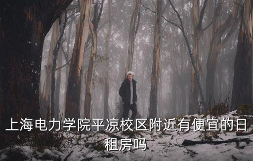 上海電力學(xué)院平?jīng)鲂^(qū)附近有便宜的日租房嗎