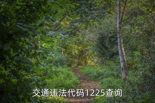 交通違法代碼1225查詢