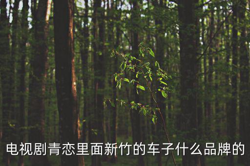 電視劇青戀里面新竹的車子什么品牌的