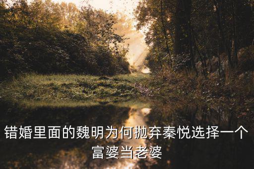 錯婚里面的魏明為何拋棄秦悅選擇一個富婆當老婆