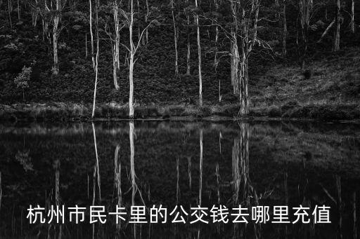 杭州市民卡充值，杭州市民卡里的公交錢去哪里充值