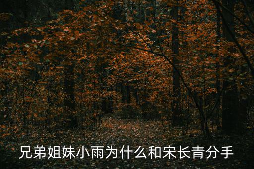 兄弟姐妹小雨為什么和宋長青分手