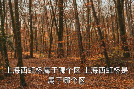 上海西虹橋屬于哪個區 上海西虹橋是屬于哪個區