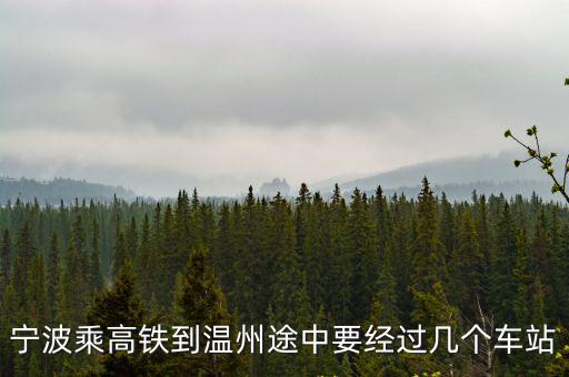 寧波乘高鐵到溫州途中要經過幾個車站