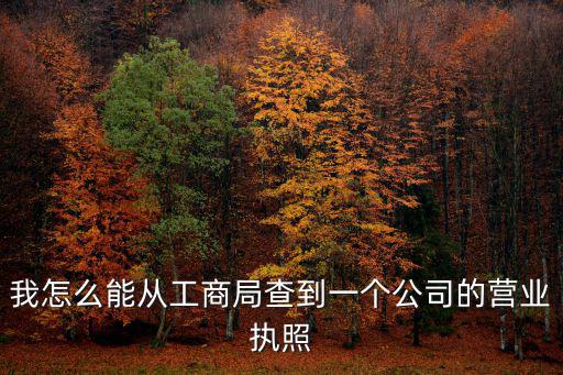 如何查詢營(yíng)業(yè)執(zhí)照，怎樣查看營(yíng)業(yè)執(zhí)照上的工商登記證號(hào)和稅務(wù)登記證號(hào)