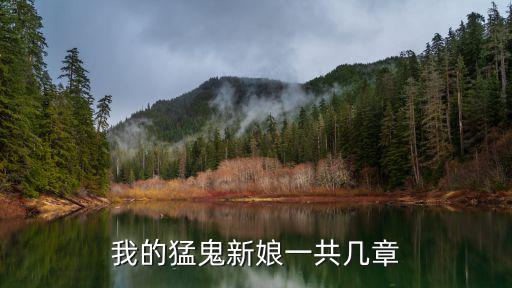 我的猛鬼新娘一共幾章